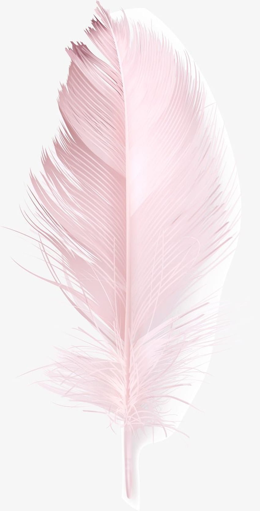 Pink Feathers iPhone Background