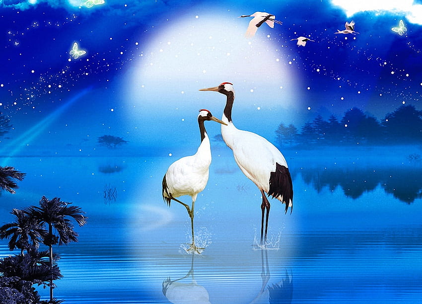 A blue Night, night, blue, birds, moon HD wallpaper | Pxfuel