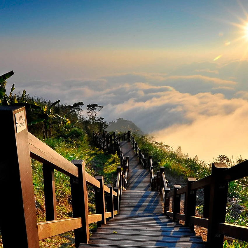 Stairway to Heaven Yushan National Park Taiwan iPad HD phone wallpaper