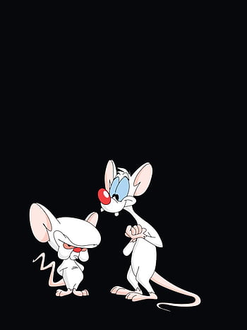 pinky and the brain cartoon characters