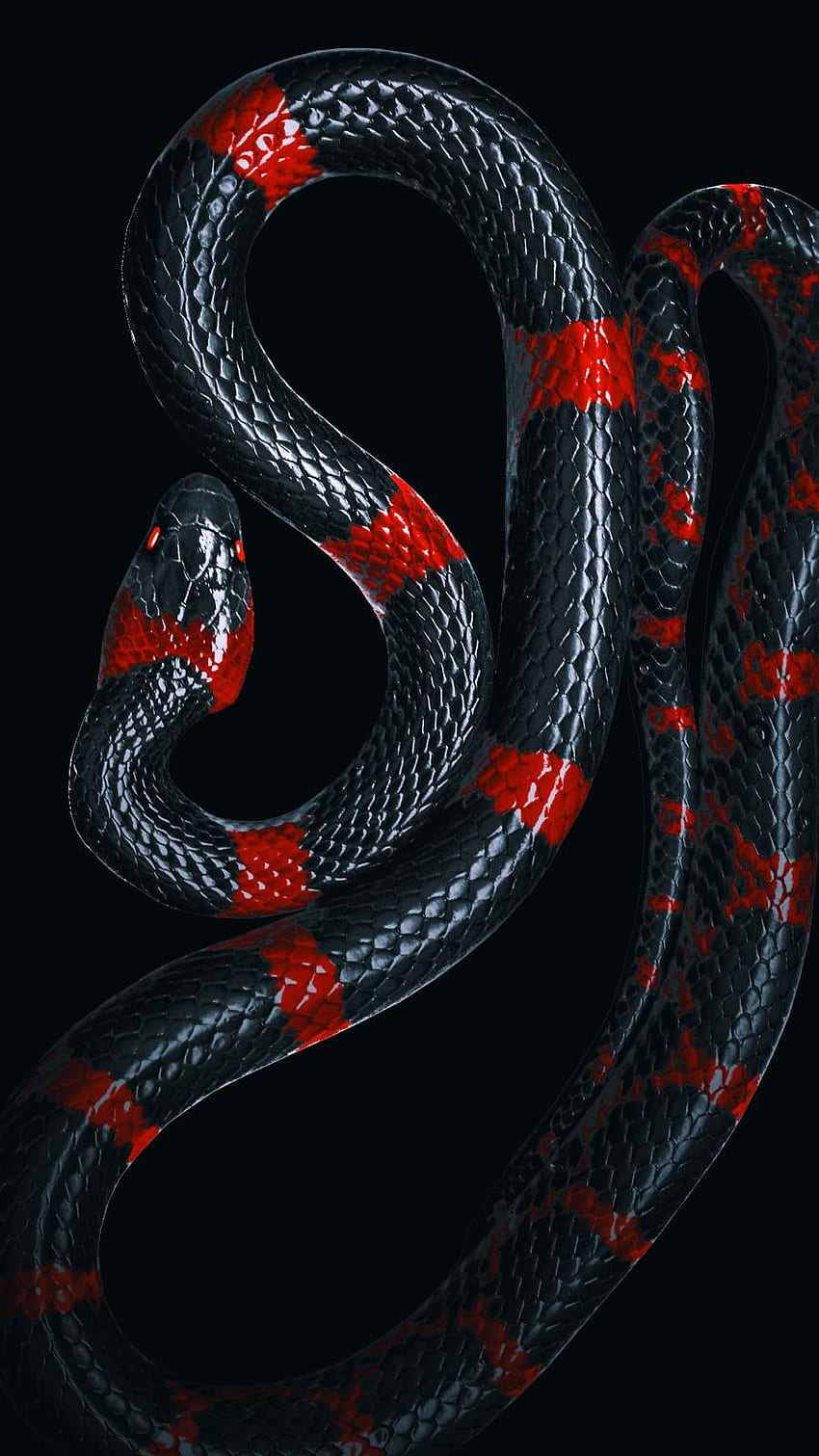 Black snake iphone HD wallpapers | Pxfuel