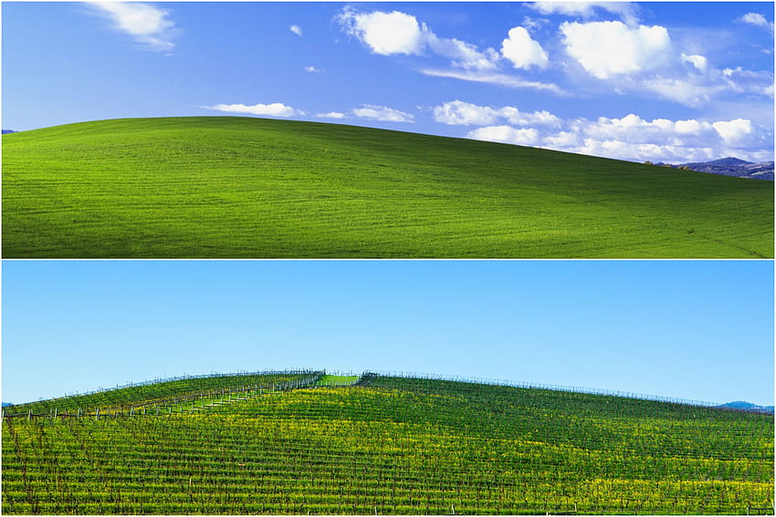I found the Bay Area hill in Windows XP's iconic, Windows Cloud HD wallpaper