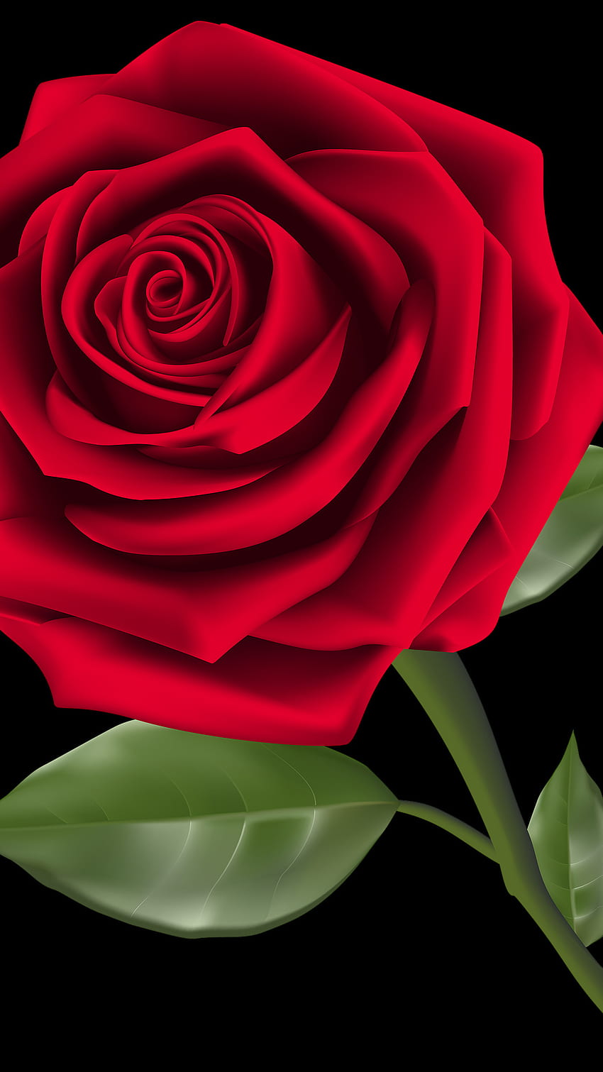 Rose Wallpaper , Rose Images - Apps on Google Play