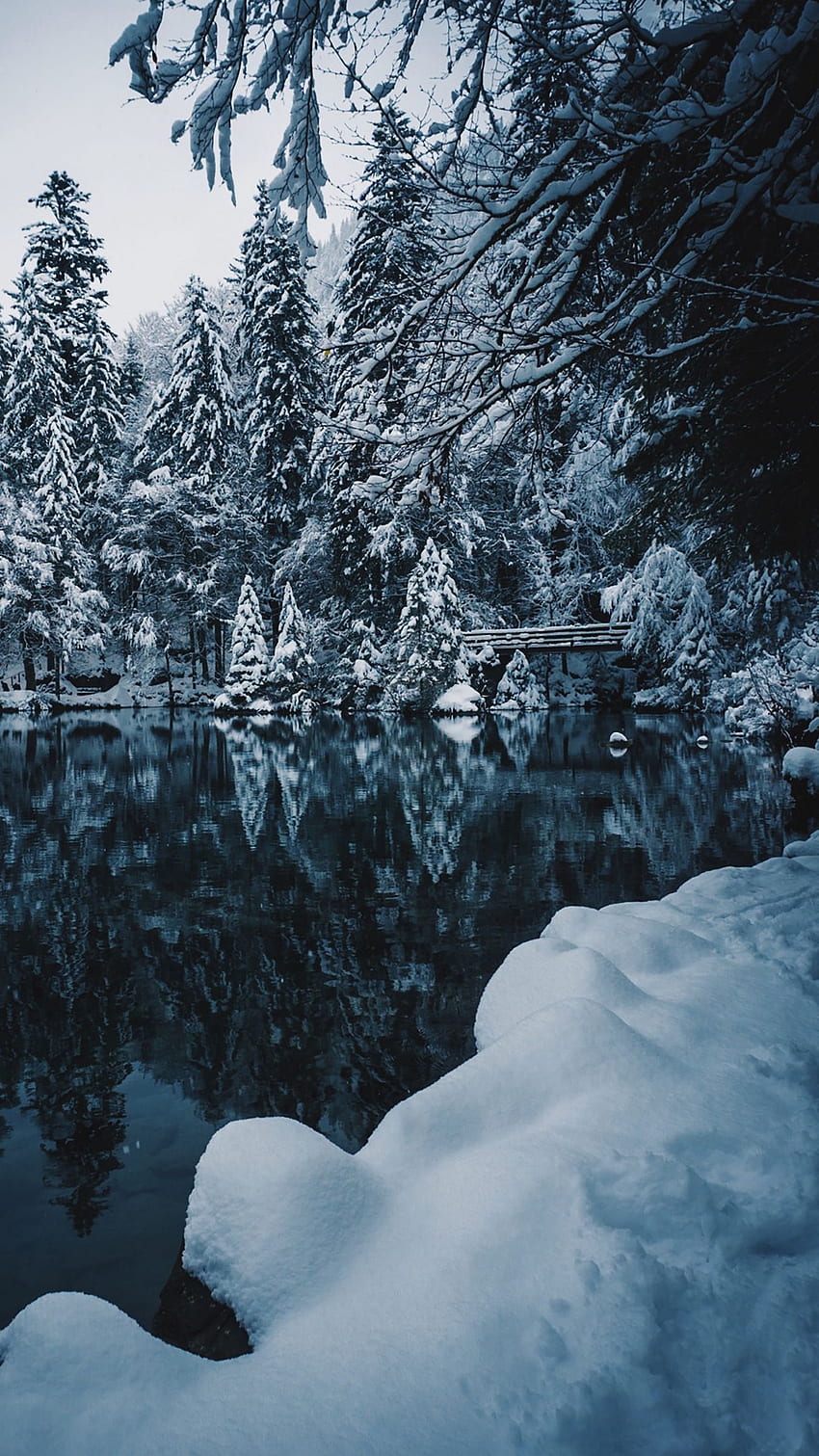 lake, snow, branches, winter, snowy HD phone wallpaper