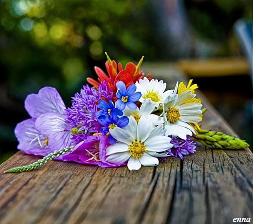 ชนบท สีสัน ไม้ ดอกไม้ ป่า วอลล์เปเปอร์ HD