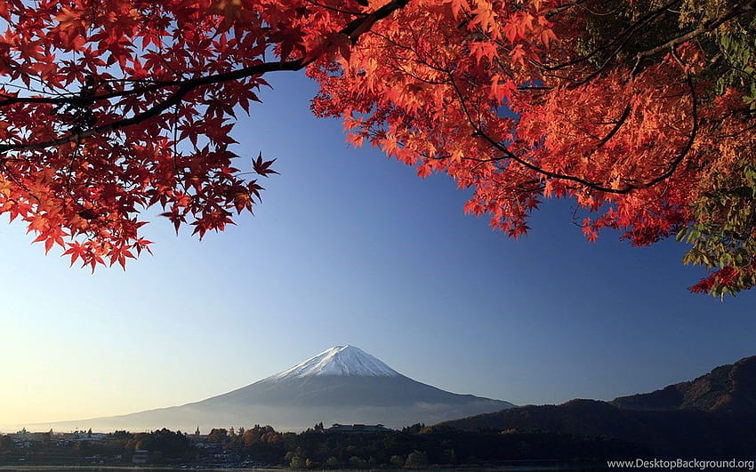 Japanese Autumn Scenery － Landscape . Background, Japanese Scenic HD wallpaper