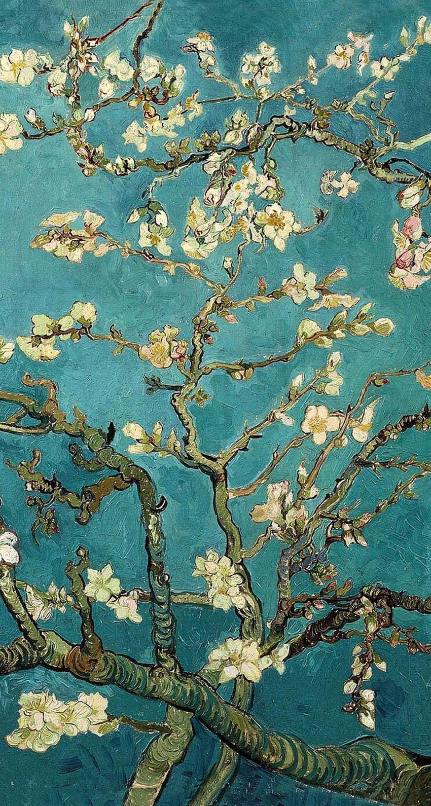 Blossoming Almond Tree, minyak seni rupa pasca impresionisme yang terkenal, Van Gogh Tree wallpaper ponsel HD