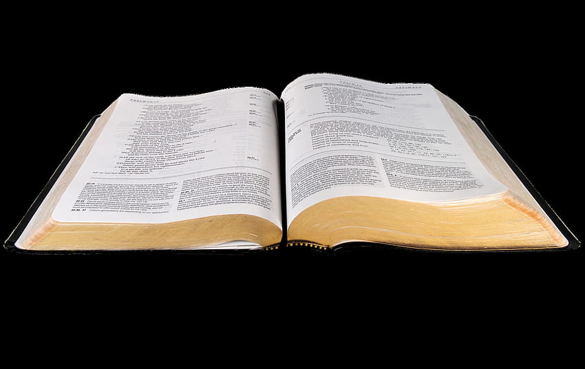 Biblia png , Biblia png Przezroczysta dla, Otwórz Biblię Tapeta HD