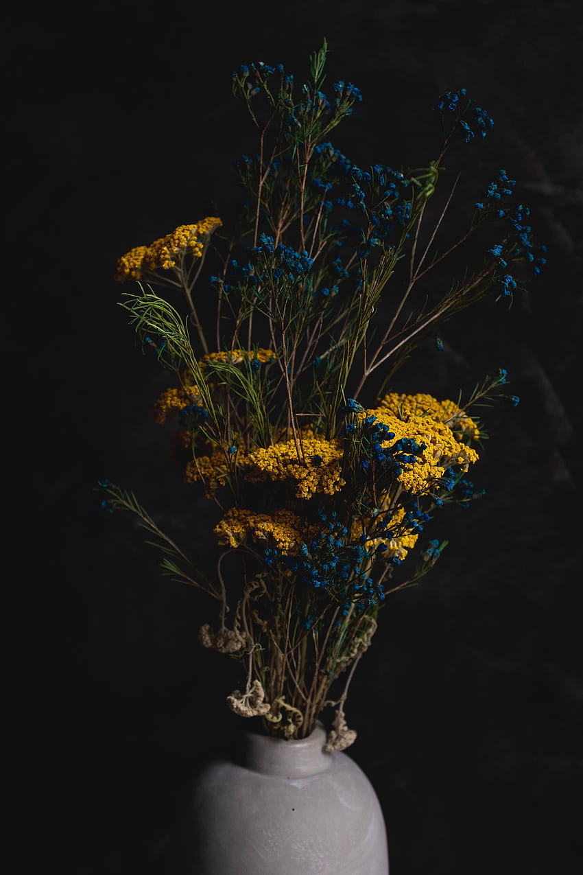 Vase, Flowers, Bouquet, Composition HD phone wallpaper