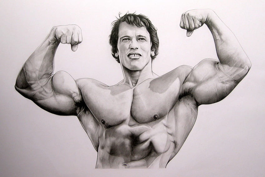 bodybuilding pencil drawing