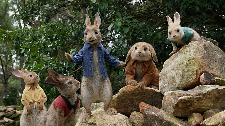 Personajes de la película Peter Rabbit 2018 fondo de pantalla
