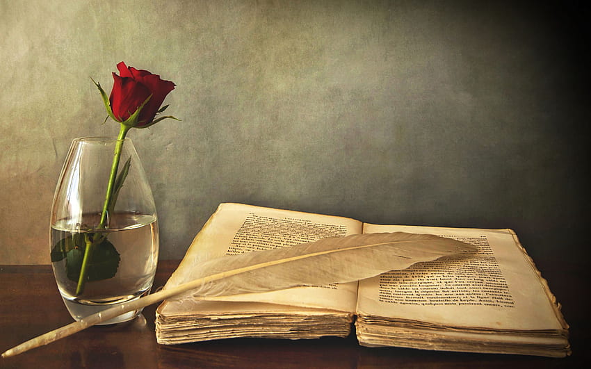 book, old, pen, table, vase, rose, red 16:10 background HD wallpaper