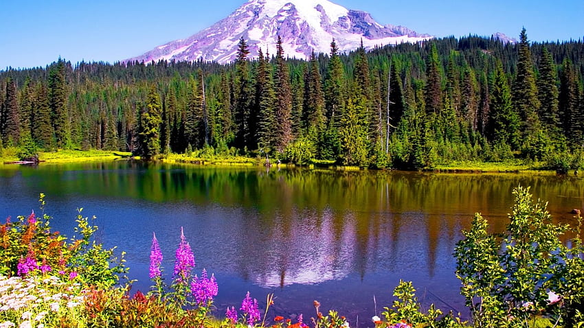 Mount Rainier National Park, Washington, trees, sky, forest, lake, usa HD wallpaper