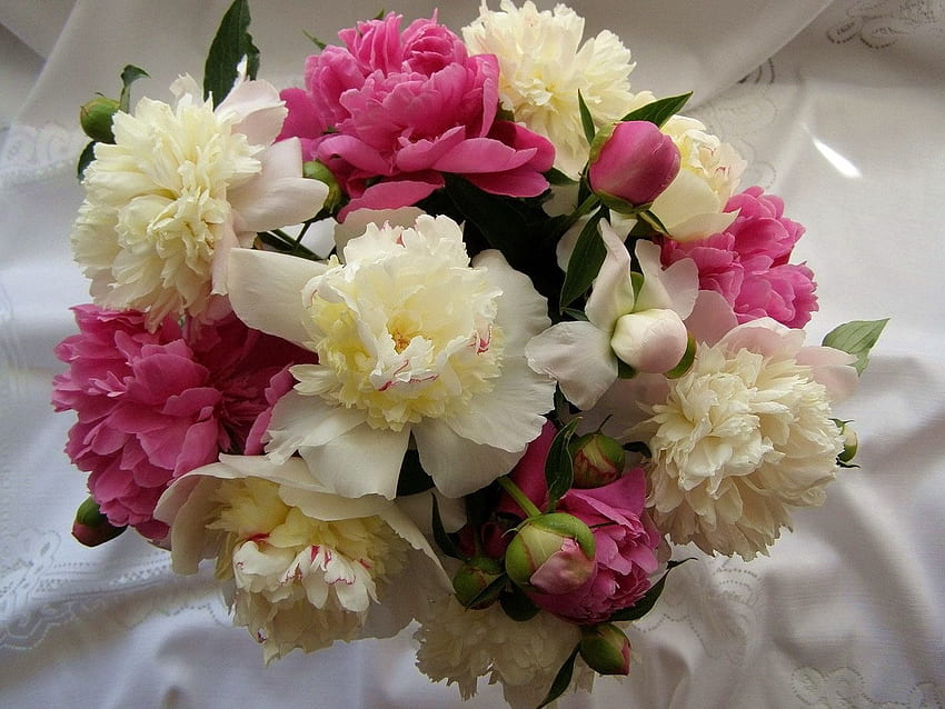 Flowers, Peonies, Bouquet, Buds, Tablecloth HD wallpaper