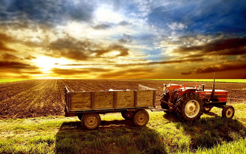 Natur, Feld, Traktor, Landwirtschaft, Ackerland HD-Hintergrundbild