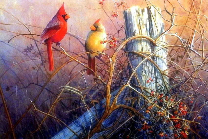 Алени кардинали, любов четири сезона, птици, животни, рисувай и рисувай, есен, картини, кардинали HD тапет