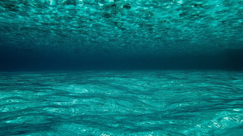 Malediven, Ozean, Unterwasser, Blau für Laptop, Notebook HD-Hintergrundbild