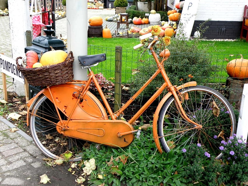 dyniowy rower, rower, liście, herfst, upadek, dynia, jesień, pomarańczowy Tapeta HD