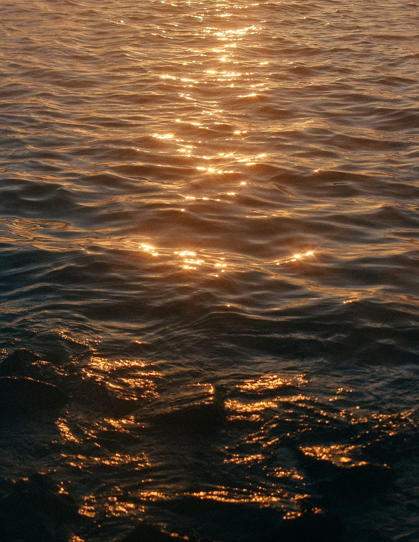 골든아워의 잔잔한 바다 – 물, 노스탤지어 울트라 HD 전화 배경 화면