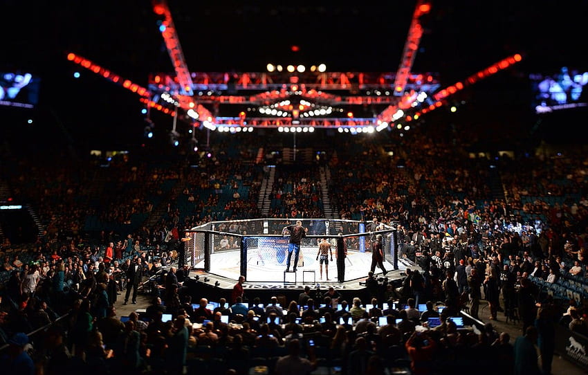 MMA, UFC, Cage for , section спорт HD wallpaper