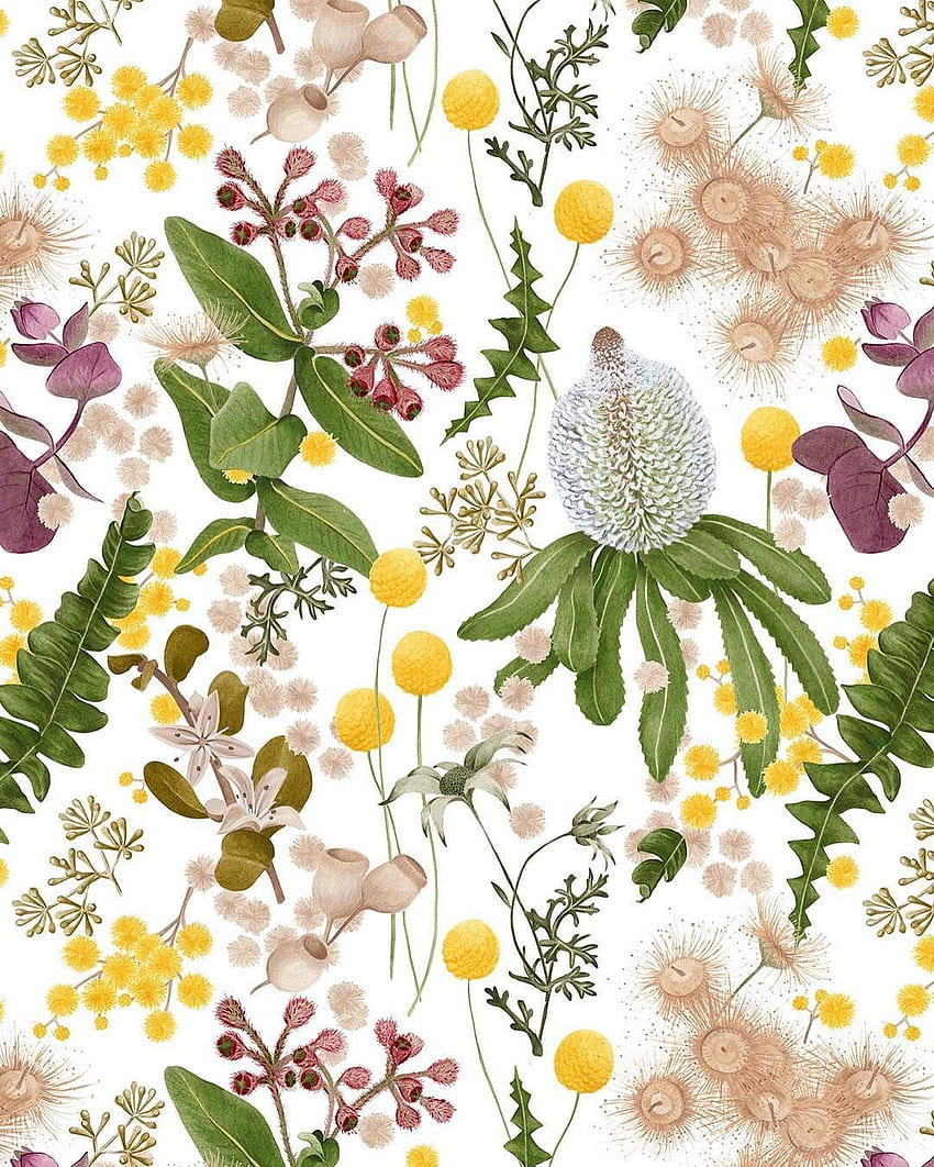 Louise Jones の Instagram • 2016 年 4 月 21 日午前 7 時 38 分 (UTC)。 植物、動物の壁画、オーストラリア、ネイティブの花 HD電話の壁紙