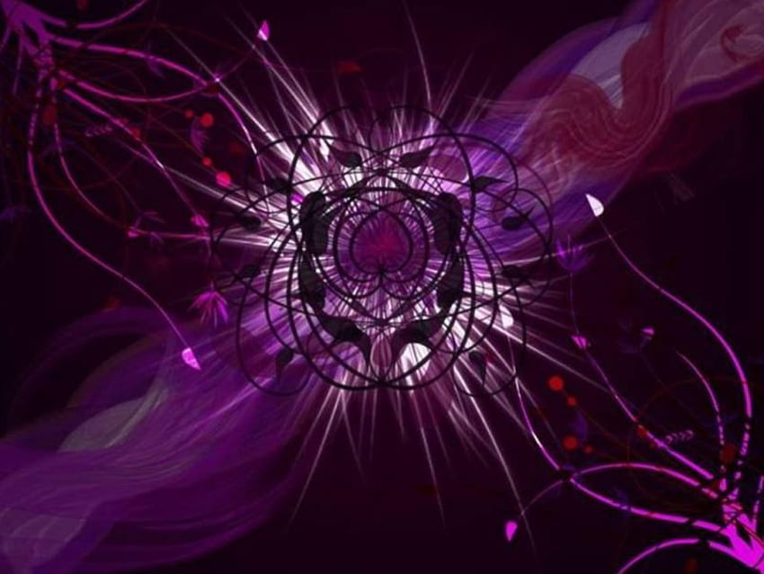 Lila Reben, lila, abgewinkelter Streifen, Reben HD-Hintergrundbild