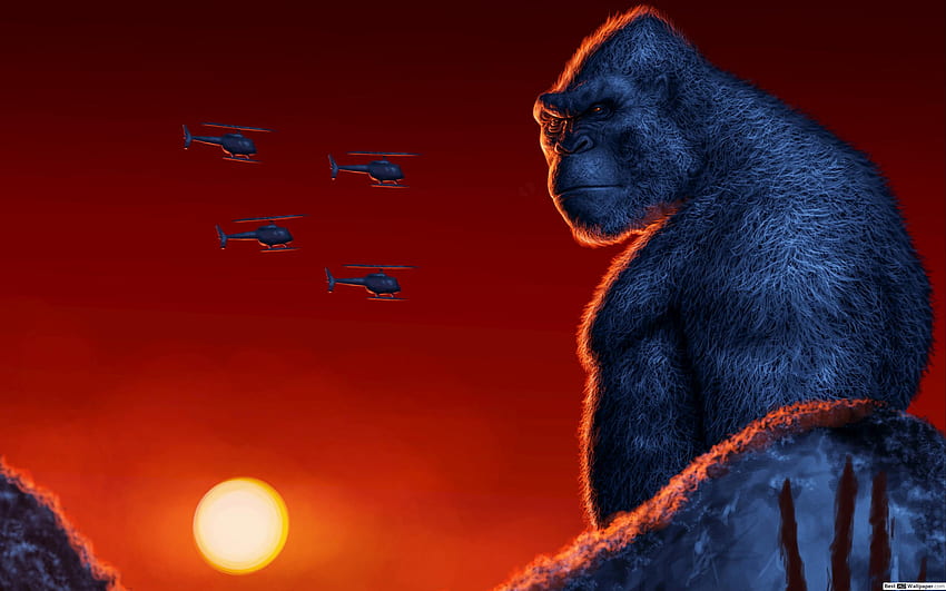 King Kong, Gorilla King HD wallpaper