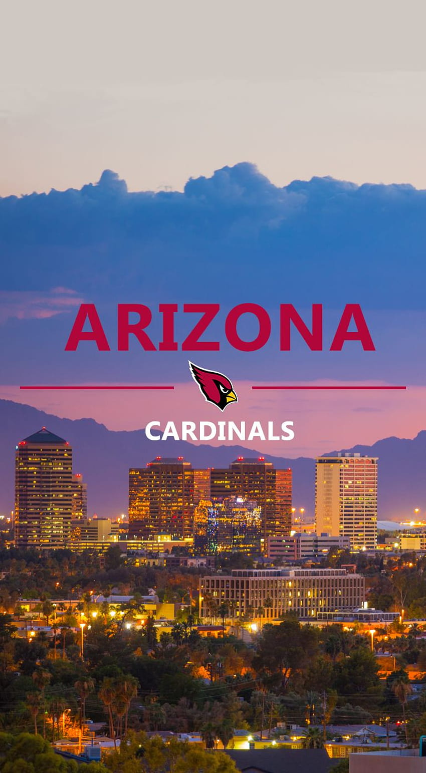Arizona Cardinals iPhone - - - Tip HD phone wallpaper