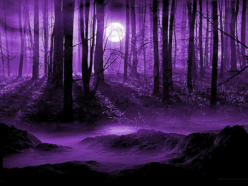 Zeitleiste - Lila alles. Facebook. Wald, dunkler Wald, Waldmond, dunkelvioletter Wald HD-Hintergrundbild