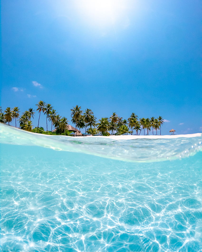 Nature, Water, Sea, Sun, Beach, Palms, Wave HD phone wallpaper