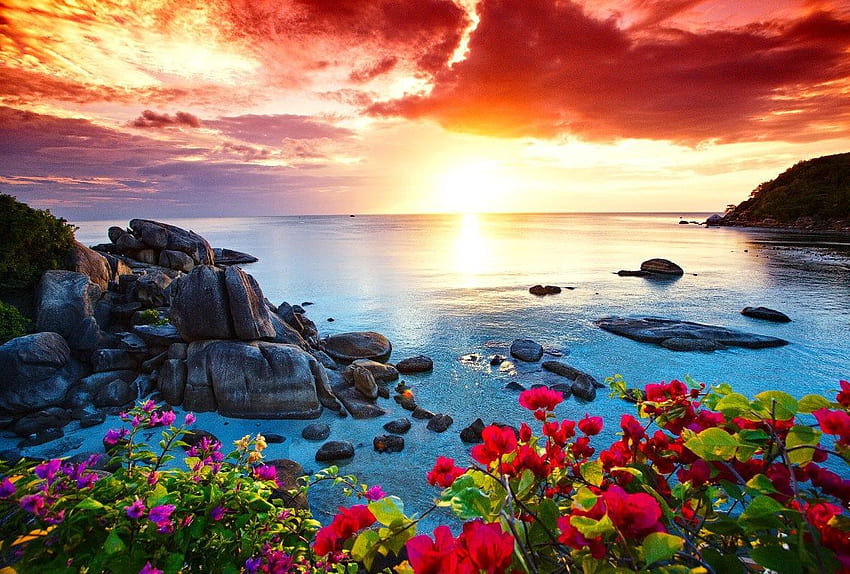 코 사무이 태국 아름 다운 울트라 위로 일출의 멋진 보기. [3840×2160] : HD 월페이퍼