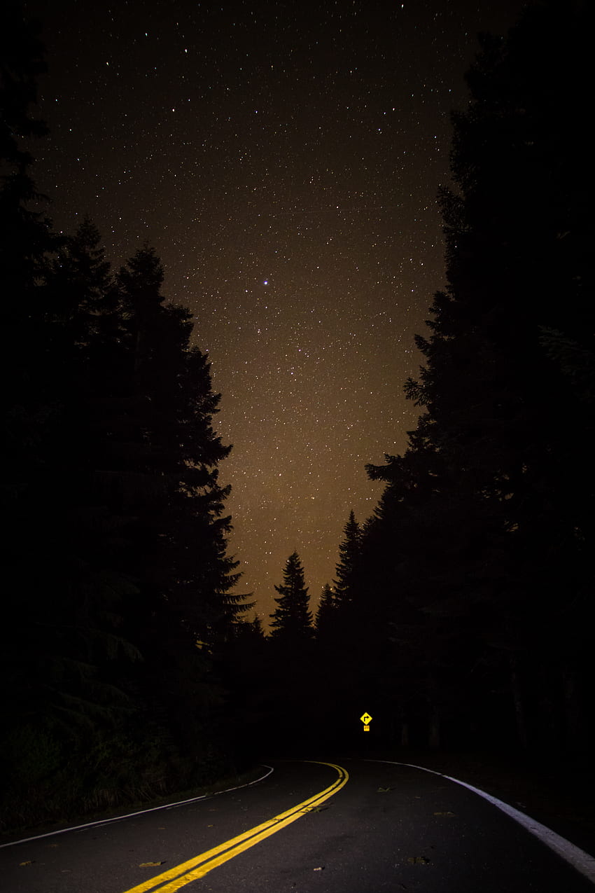 夜、暗い、道、森、星空 HD電話の壁紙