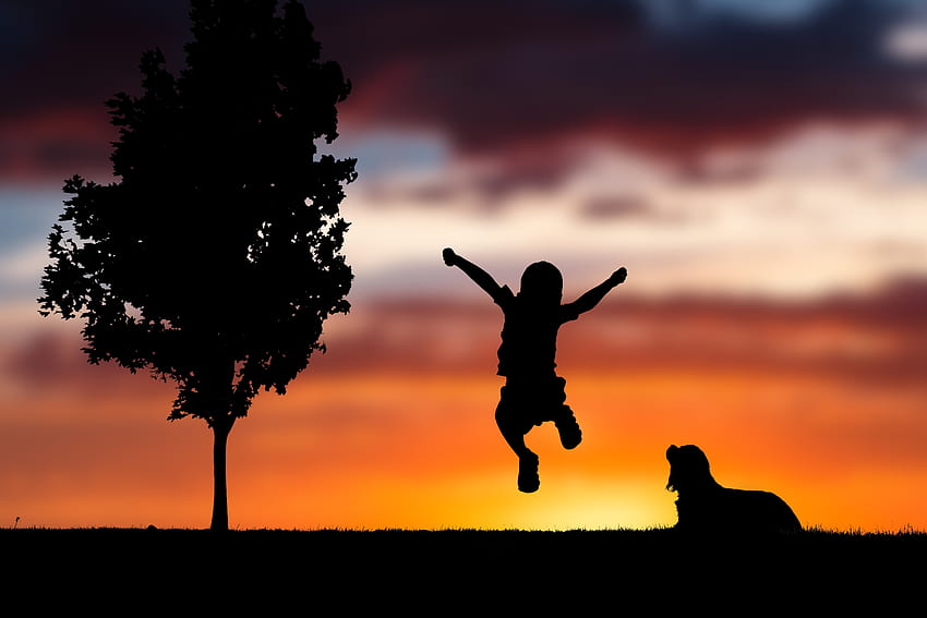 Sonnenuntergang, Dunkel, Silhouette, Hund, Hüpfen, Springen, Kind, Glück HD-Hintergrundbild