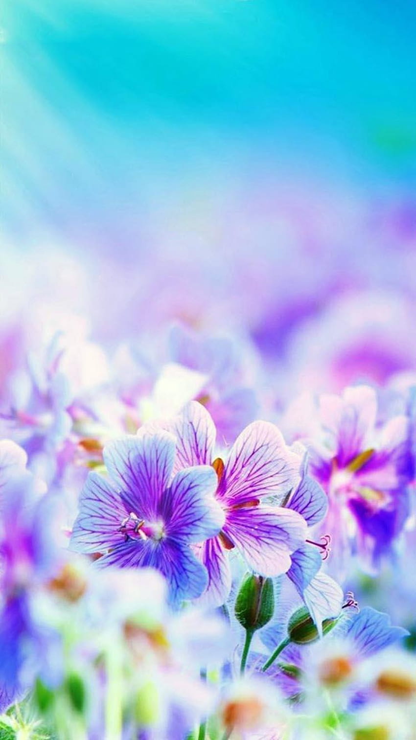Flower ( Ultra ) for Android, Flowers Vertical HD phone wallpaper