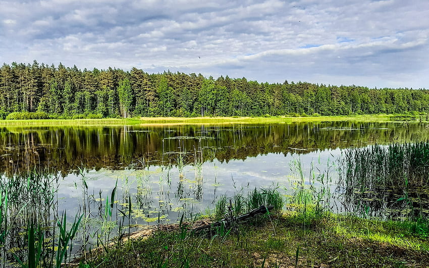 desktop wallpaper lake in latvia kalm latvia reflection lake