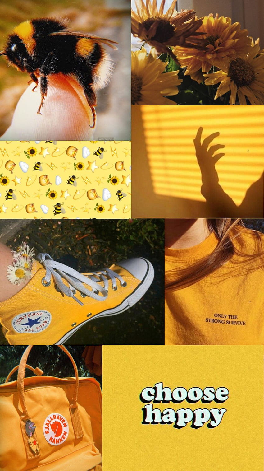 Page 2 | aesthetic bees HD wallpapers | Pxfuel