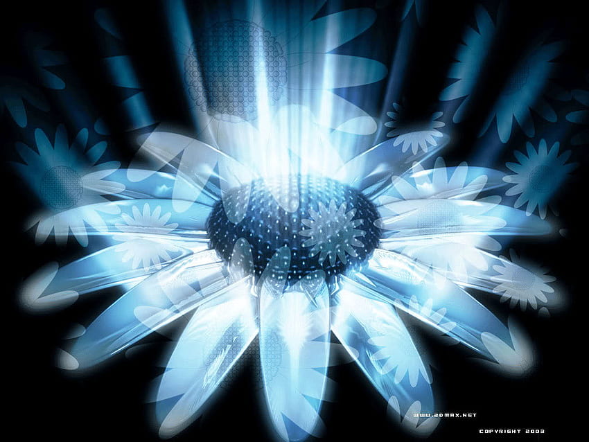 Illuminated Daisy, fractal, light, daisy, flower HD wallpaper