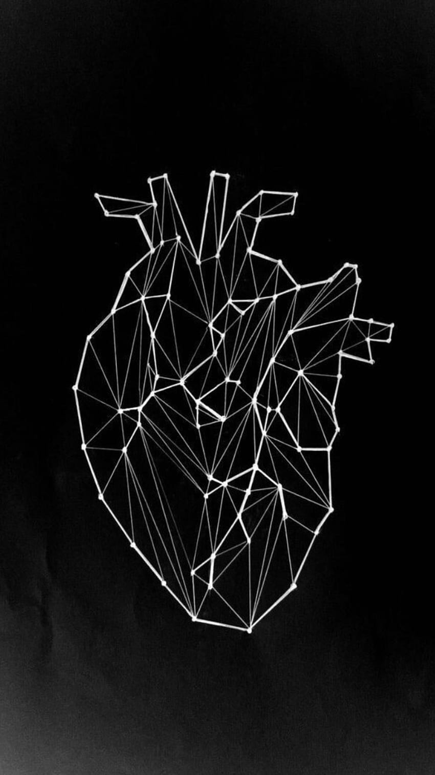 Лиана, Анатомично сърце HD тапет за телефон