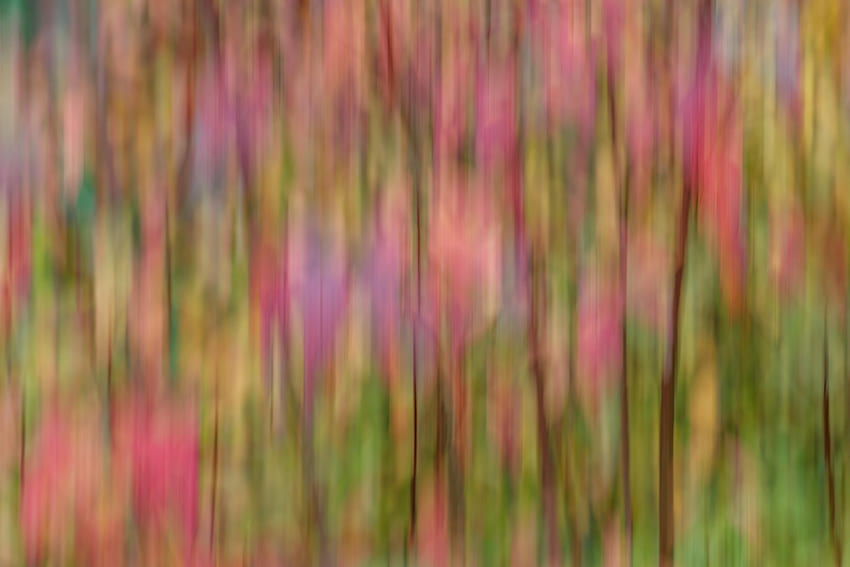 Abstract Ripples Ripple Multicolored Motley Blur Smooth Hd Wallpaper Pxfuel 5891