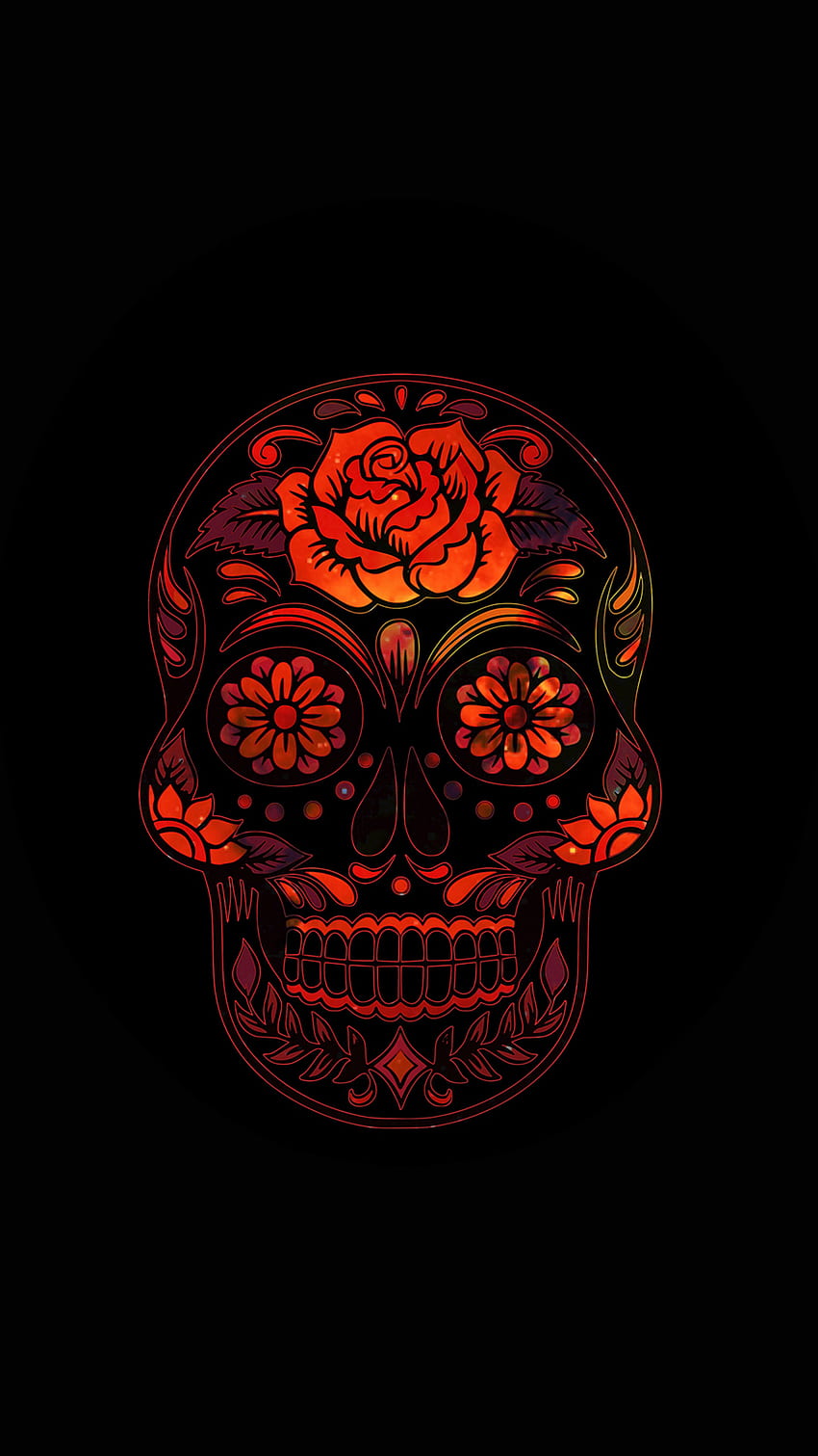 Best Beautiful of All Times That You Should Definitely See, Beautiful Skull  HD phone wallpaper | Pxfuel