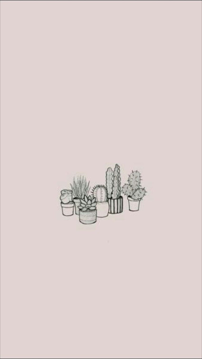 Cactus fond rose pale. Cute simple , Thought , Aesthetic iphone, Minimalist  Cactus HD phone wallpaper | Pxfuel