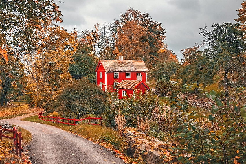 Autumn in Sweden, autumn, road, houses, sweden HD wallpaper
