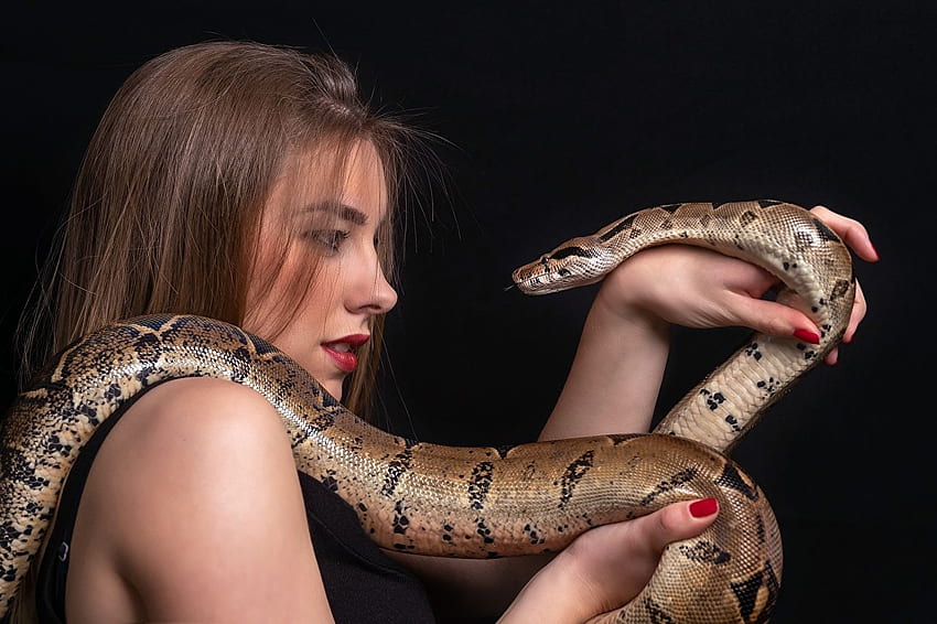 snake Brown haired young woman Hands Animals, Boa Constrictor HD wallpaper
