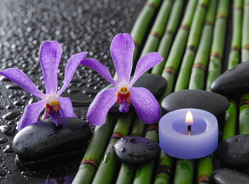 Spa backgroind, drops, flowers, bamboo, stones, orchids HD wallpaper