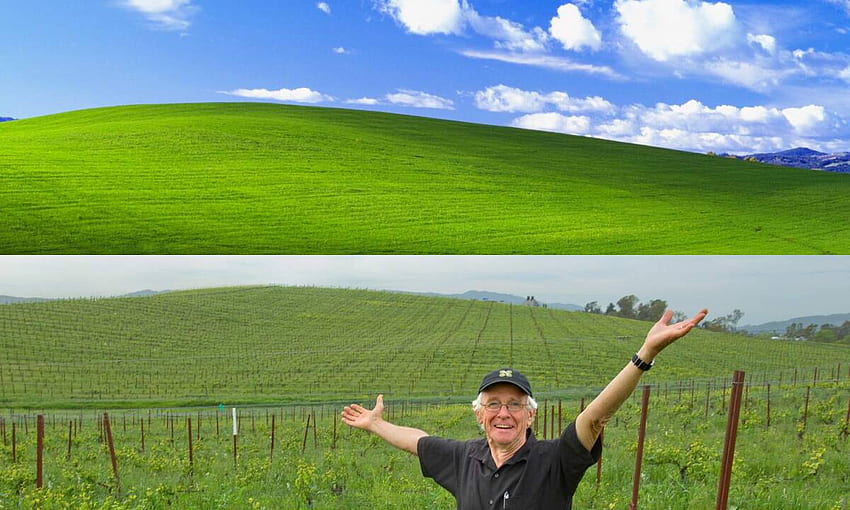 A medida que Windows XP se desvanece en la historia, 'Bliss' permanece en el condado de Sonoma (con video) fondo de pantalla