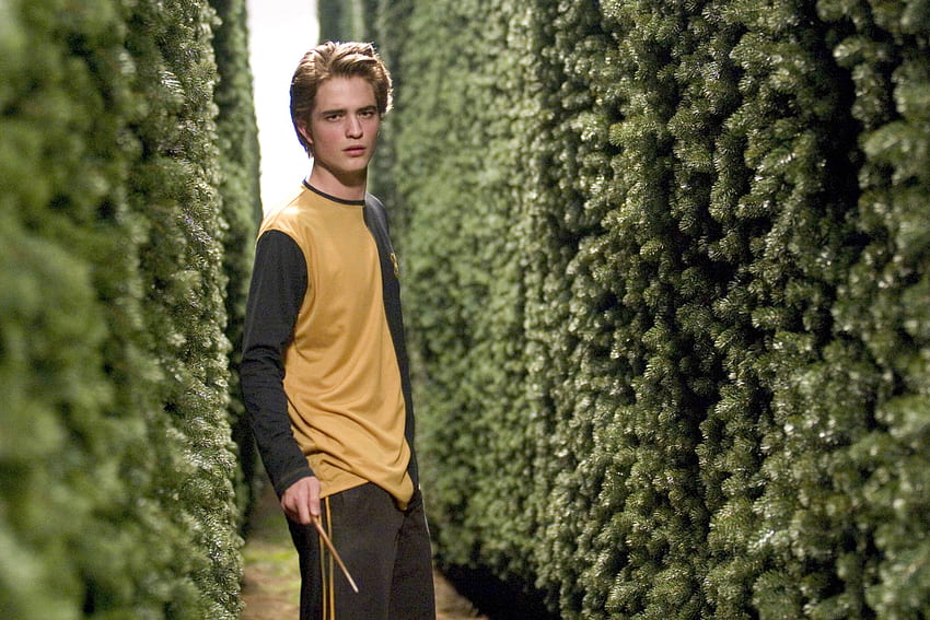 Unsung heroes: Cedric Diggory, Harry Potter Cedric Diggory HD wallpaper