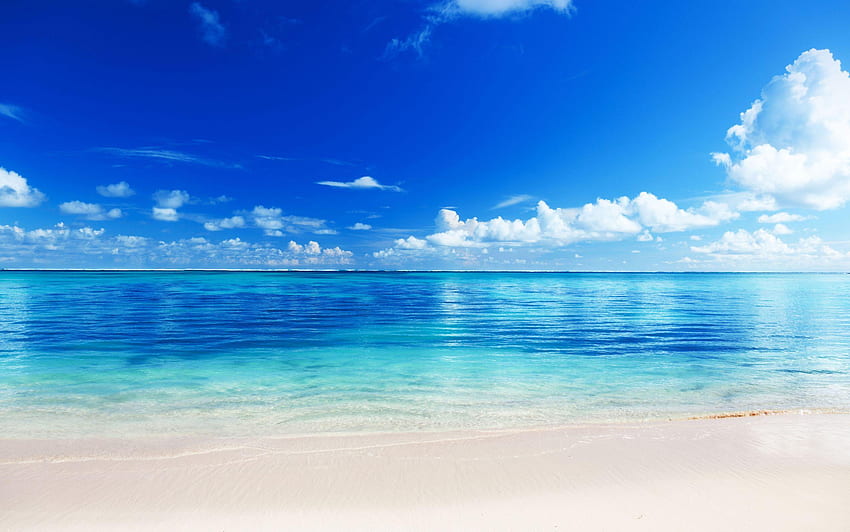 Strand-Hintergrund. Schöner Strand, Strand und erstaunlicher Strand, Anime Summer Beach HD-Hintergrundbild