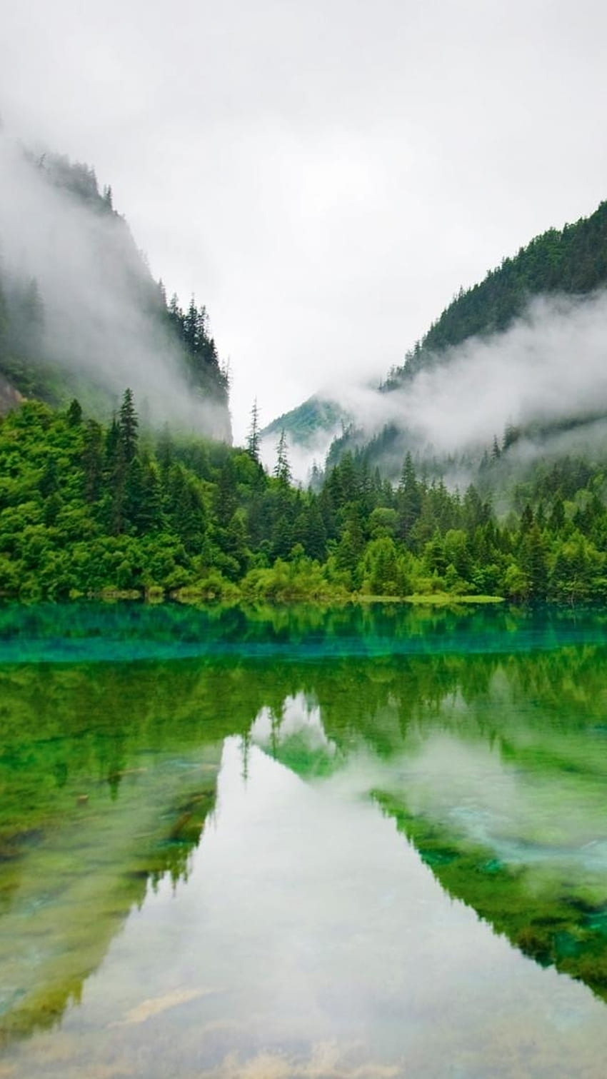 Foggy Mountains Calm Lake Forest iPhone 6 iPhone [] for your , Mobile & Tablet. Explore Foggy Forest iPhone . Forest for Computer, Beautiful, Calm iPhone HD phone wallpaper