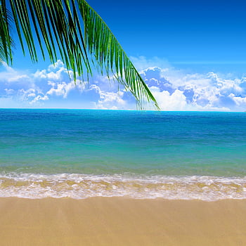 Page 9 | cool beaches HD wallpapers | Pxfuel