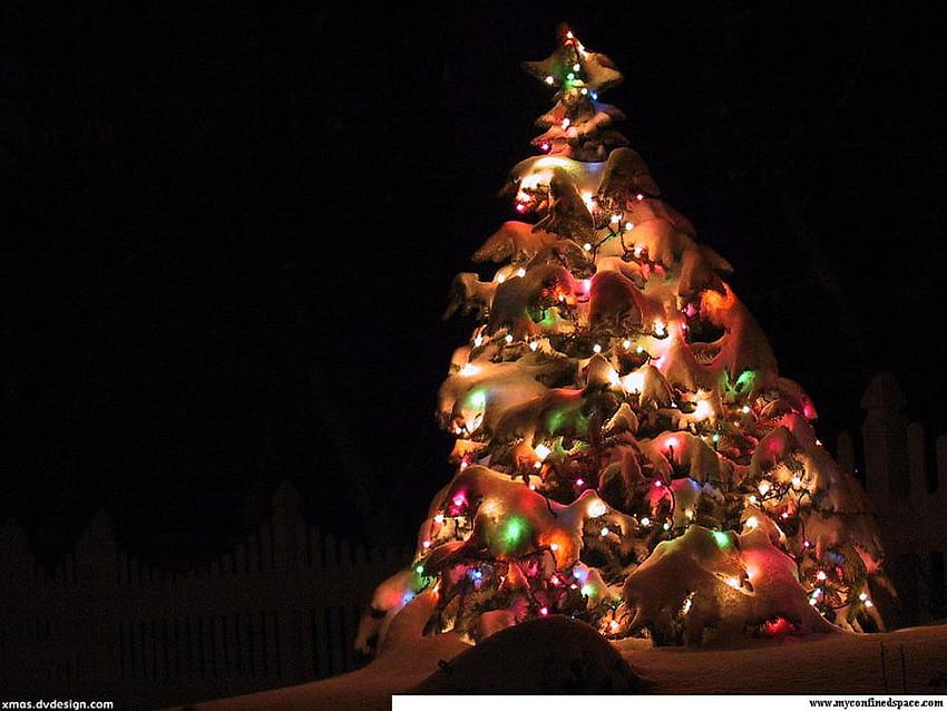 クリスマス ツリー、夜、松の木、アート、雪、クリスマスの飾り、フルカラー、美しい、lightining 高画質の壁紙